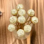 Juda Pin Rose Pearl | Red (Set of 10)